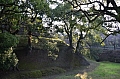 172 Kumamoto
