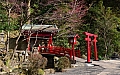 183 Beppu