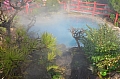 194 Beppu