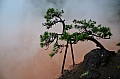 206 Beppu