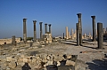 0003 Umm Qais