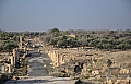 0005 Umm Qais