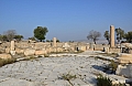 0008 Umm Qais