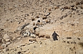 0086 Wadi Hasa