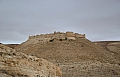 0088 Shobak