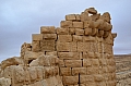 0091 Shobak