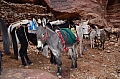 0108 Petra