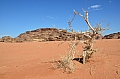 0127 Wadi Rum