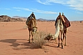 0128 Wadi Rum