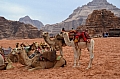 0131 Wadi Rum
