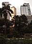 Hong Kong-0024