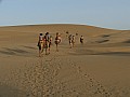Deserto del Thar-0003