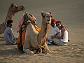 Deserto del Thar-0004