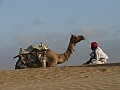 Deserto del Thar-0008