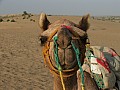 Deserto del Thar-0009