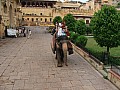 Jaipur-0004