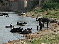 Jaipur-0010