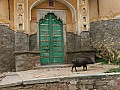 Jaipur-0015