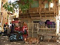 Jaisalmer-0013
