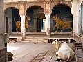 Jodpur-0015