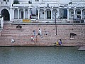 Pushkar-0005