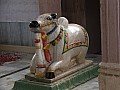 Pushkar-0008