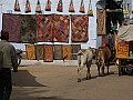 Pushkar-0017