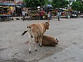 Varanasi-0018