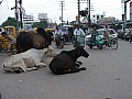 Varanasi-0019