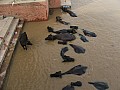 Varanasi-0025
