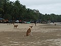 Goa- Palolem-0016