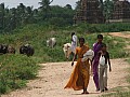 Hampi-0024