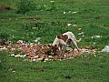 Karnataka-0001