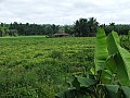 Kerala-0002