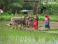Kerala-0003