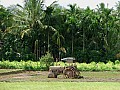 Kerala-0005