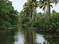 Kochi- Backwaters-0004