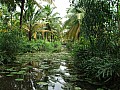 Kochi- Backwaters-0005