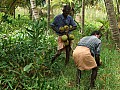 Kochi- Backwaters-0006