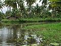 Kochi- Backwaters-0008