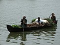 Kochi- Backwaters-0016