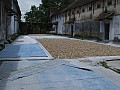 Kochi-0011