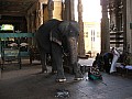 Madurai-0007
