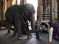 Madurai-0008