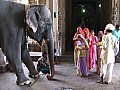 Madurai-0015