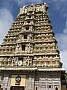 Mysore-0003