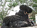 Mysore-0005
