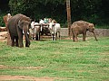 Mysore-0010