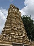 Mysore-0018