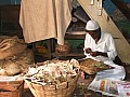 Mysore-0021